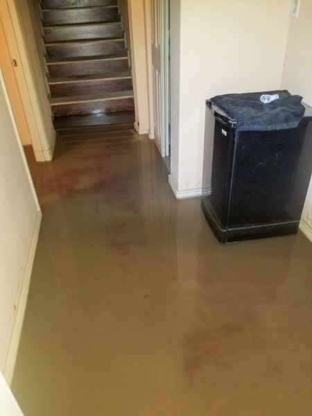 Emergency Water Removal in Bothell