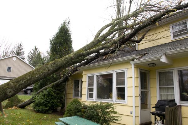 Hurricane Damage Repair in Bothell